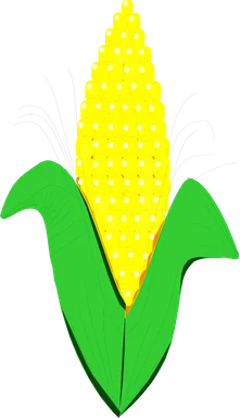 Free Stock Photo: Illustration of an ear of corn