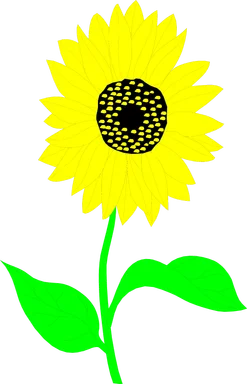 Free Stock Photo: Illustration of a sunflower