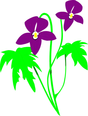 Free Stock Photo: Illustration of purple flowers