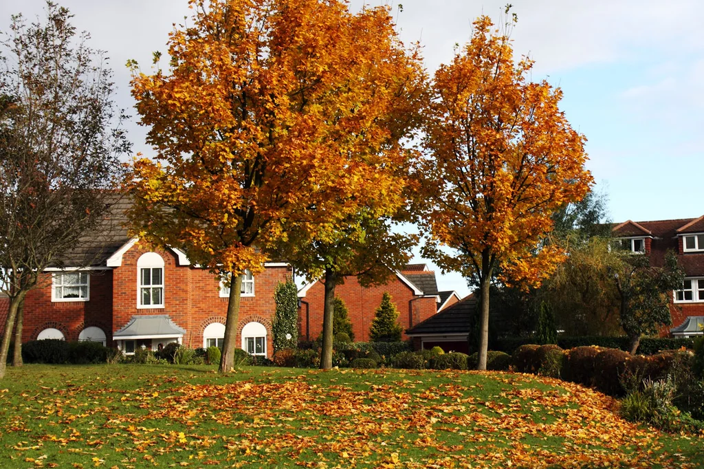 A house surrounded by autumn foliage : Free Stock Photo