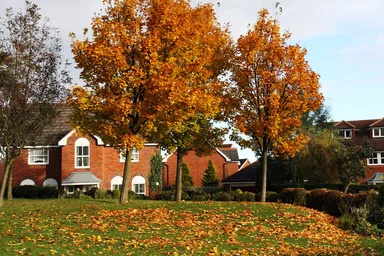 Free Stock Photo: A house surrounded by autumn foliage