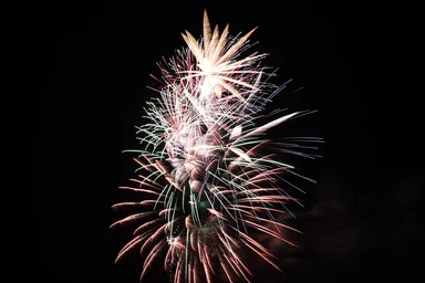 Free Stock Photo: Fireworks in a night sky