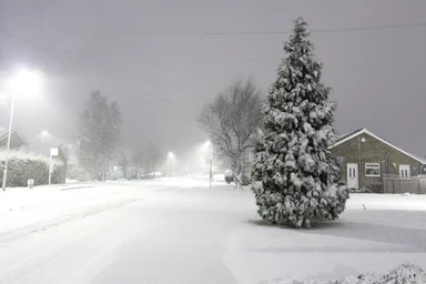 Free Stock Photo: A town street during a snowstorm
