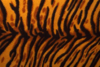 Free Stock Photo: An artificial tiger stripe pattern