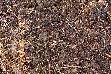 Free Stock Photo: Manure fertiliser