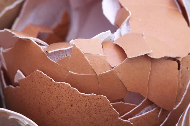 Free Stock Photo: Broken egg shells