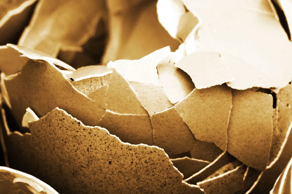 Broken egg shells : Free Stock Photo