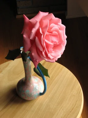 Free Stock Photo: Closeup of a large pink camellia by a window