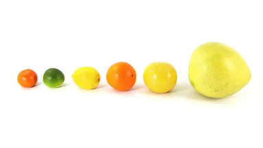 Free Stock Photo: Citrus fruit in a line isolated on a white background