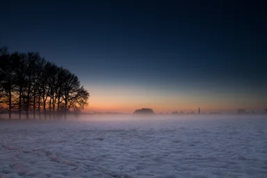 Free Stock Photo: Winter landscape with trees
