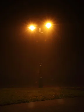 Free Stock Photo: A street lamp shining on a foggy night