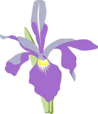 Free Stock Photo: Illustration of a purple orchid flower