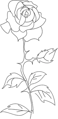 Free Stock Photo: Illustration of a rose