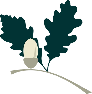 Free Stock Photo: Illustration of an acorn on a branch