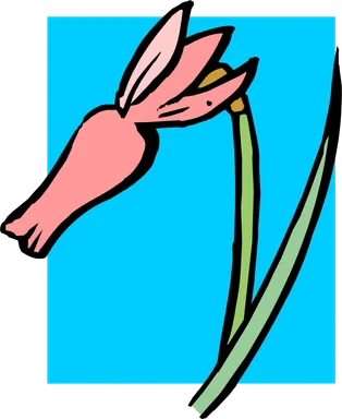 Free Stock Photo: Illustration of a pink flower