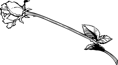 Free Stock Photo: Illustration of a long stem rose