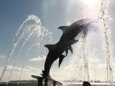 Free Stock Photo: The dolphin fountain at Bayfront Park in Sarasota, Florida