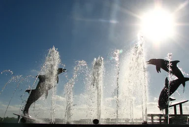 Free Stock Photo: The dolphin fountain at Bayfront Park in Sarasota, Florida