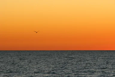 Free Stock Photo: An ocean sunset landscape