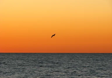 Free Stock Photo: An ocean sunset landscape