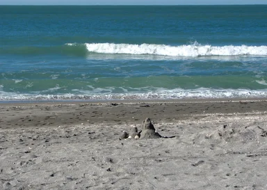 Free Stock Photo: A small sand castle on the beach
