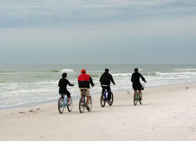 Free Stock Photo: People riding bikes on the beach by the ocean