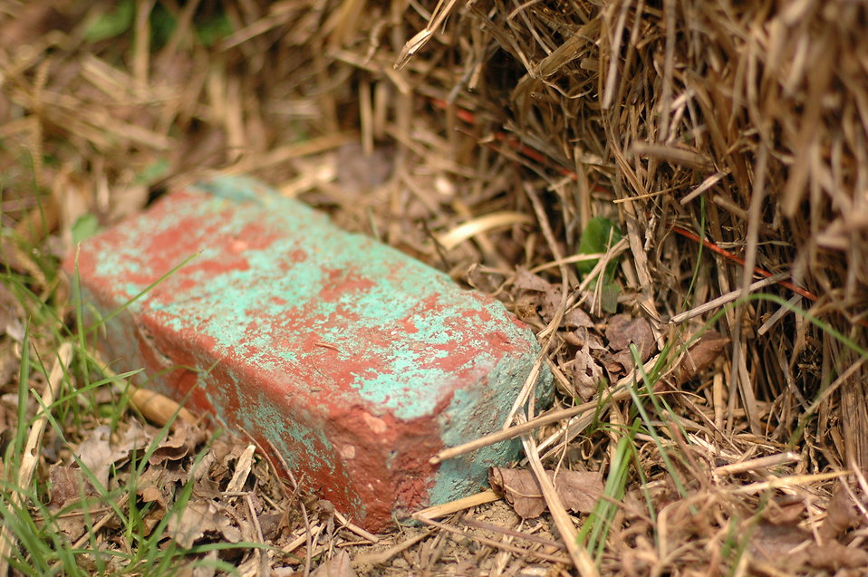 A single brick in hay : Free Stock Photo